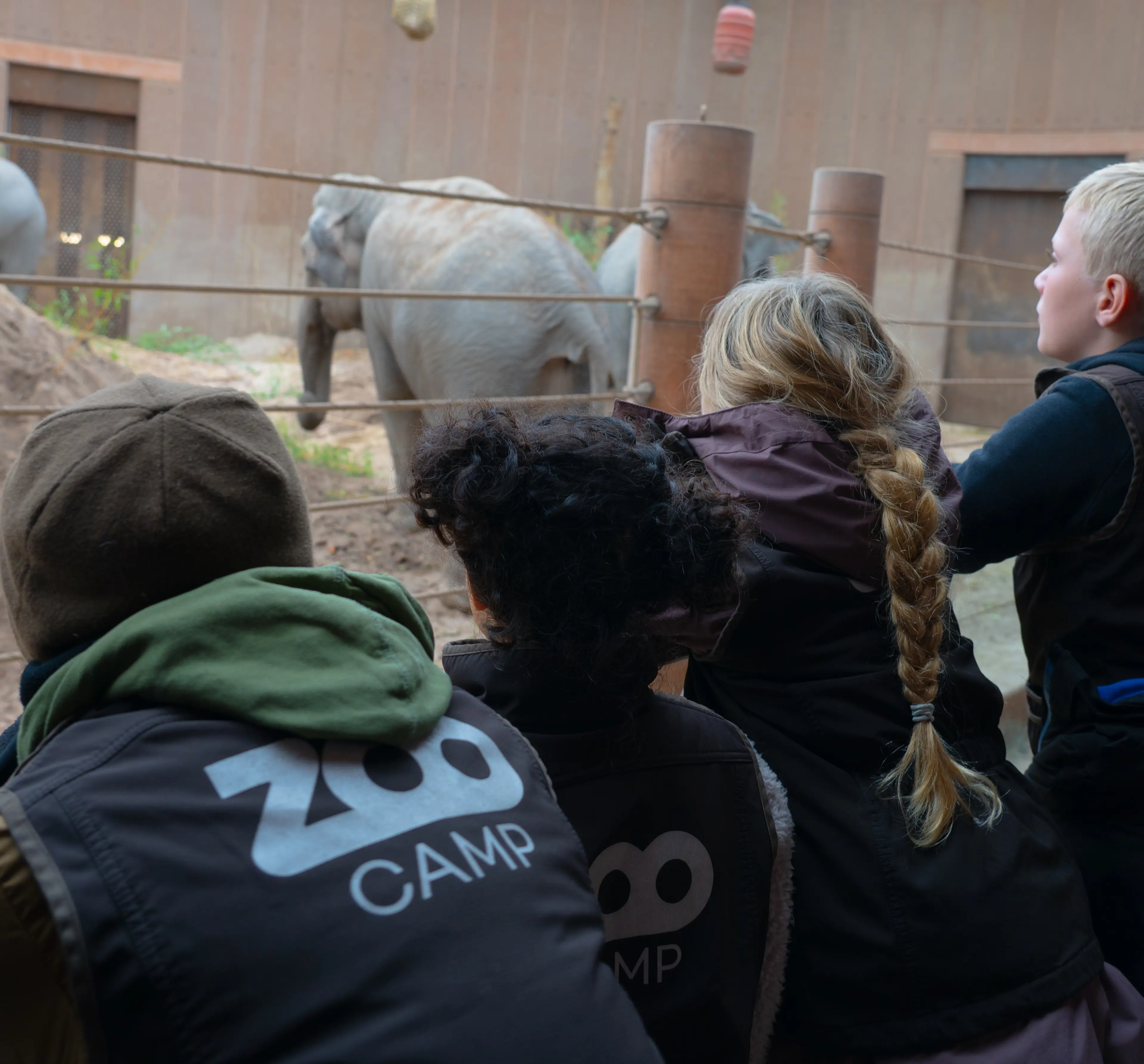 Zoocamp - bliv dyrepasser for en dag i Zoo