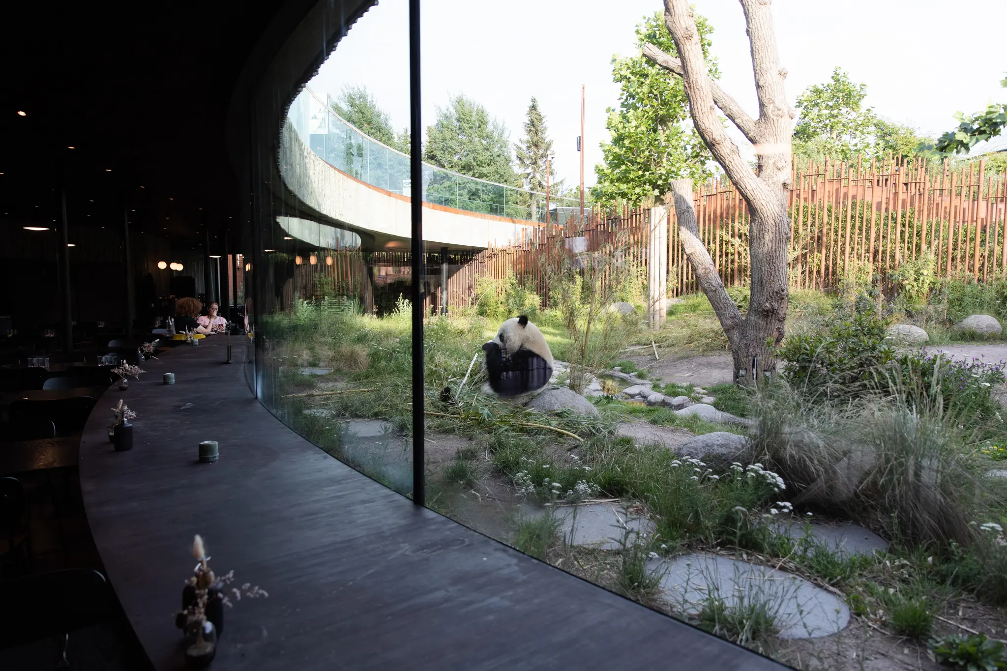 Ny restaurant åbner i legendariske lokaler i ZOO