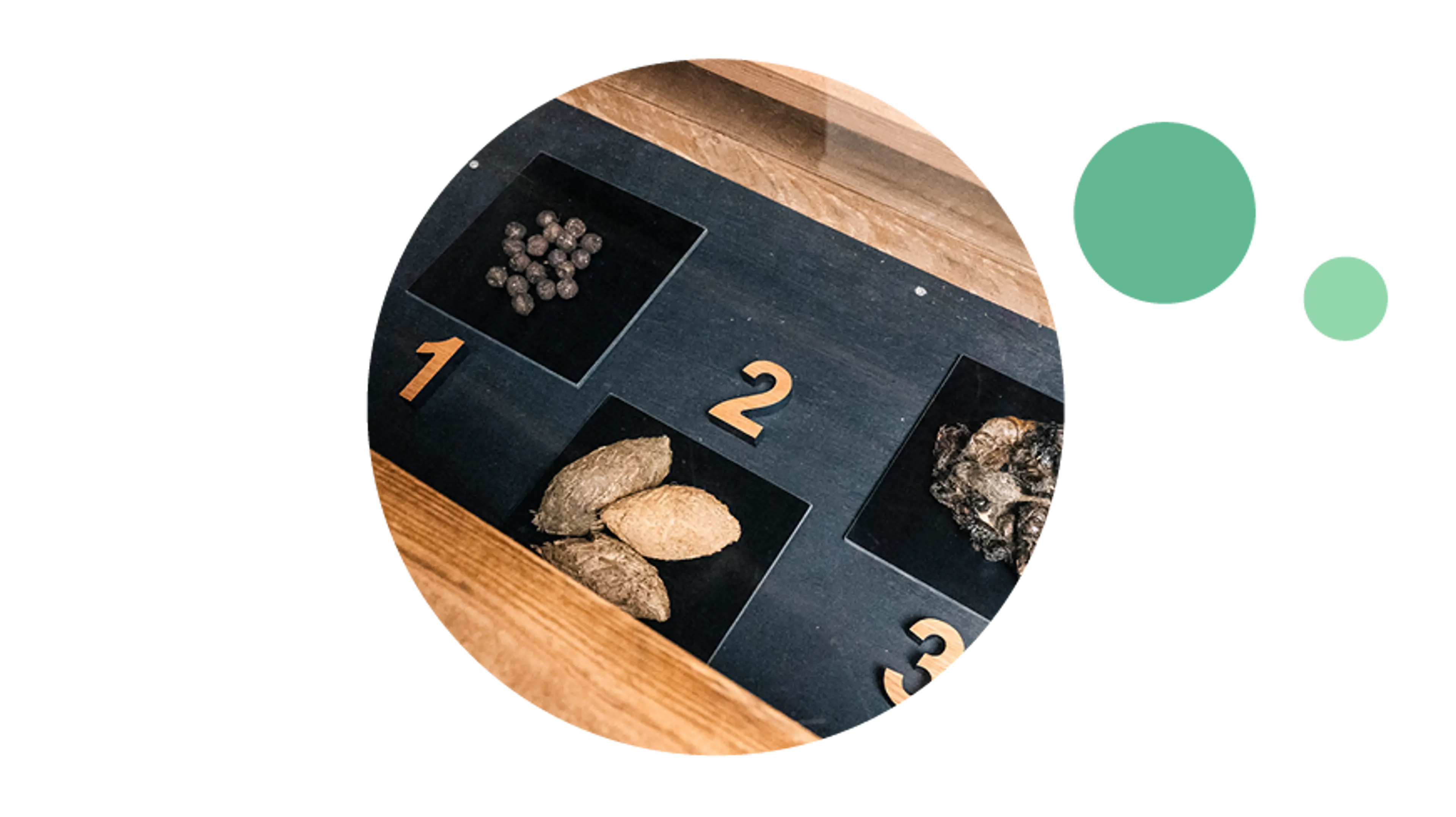 Quiz om dyrs lort. Find den i København Zoos butik