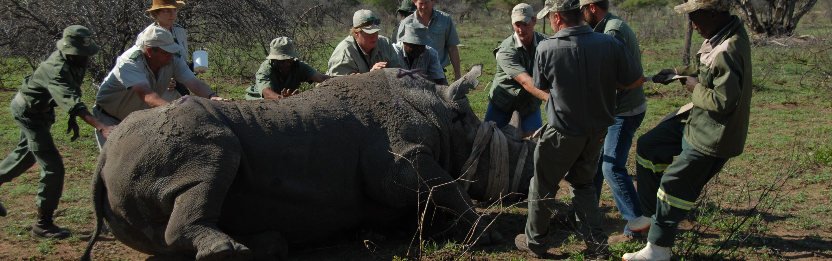 SAMMEN PASSER VI PÅ VERDENS DYR I NATUREN