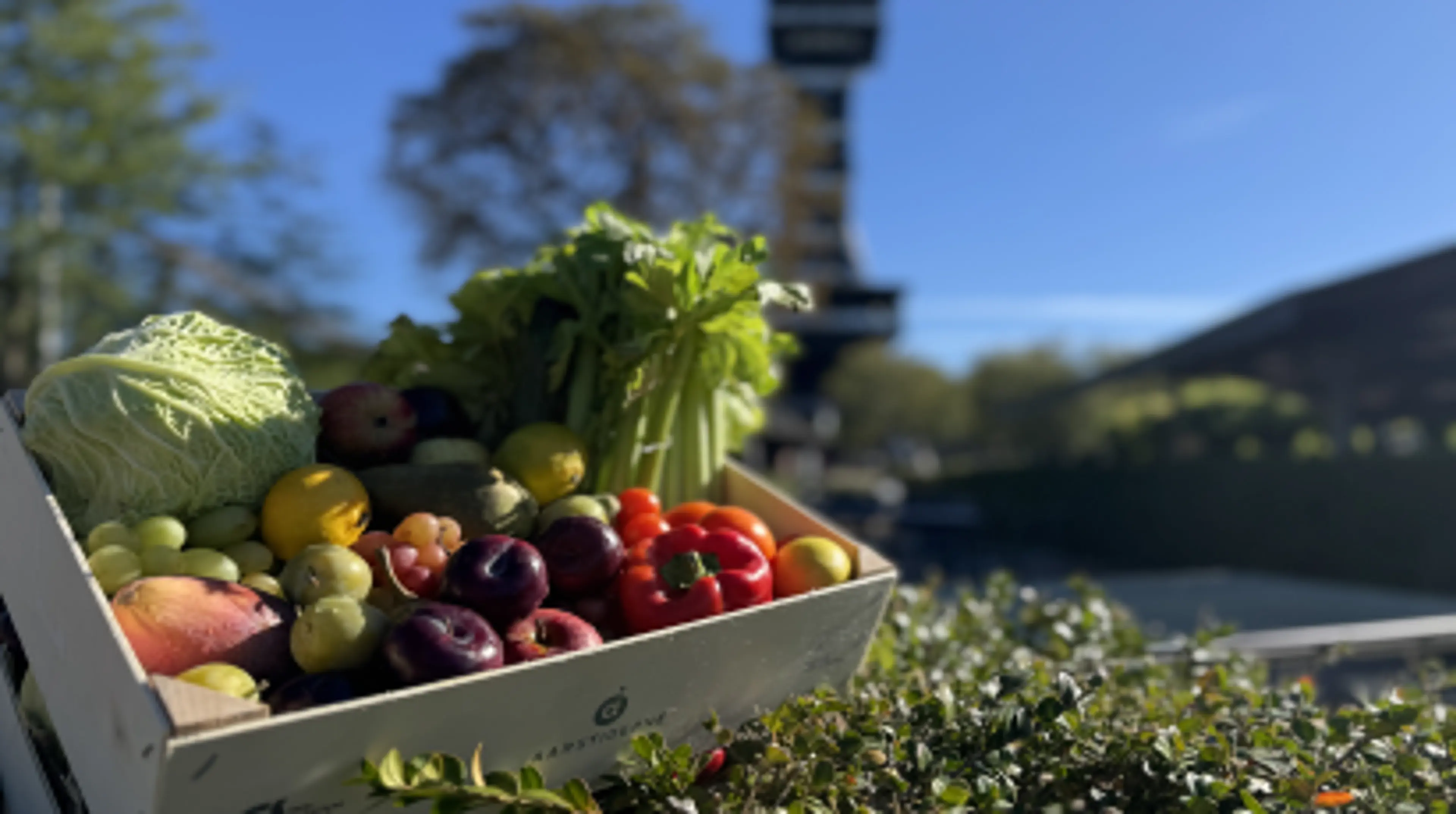 Måltidskasse foran Zootårnet