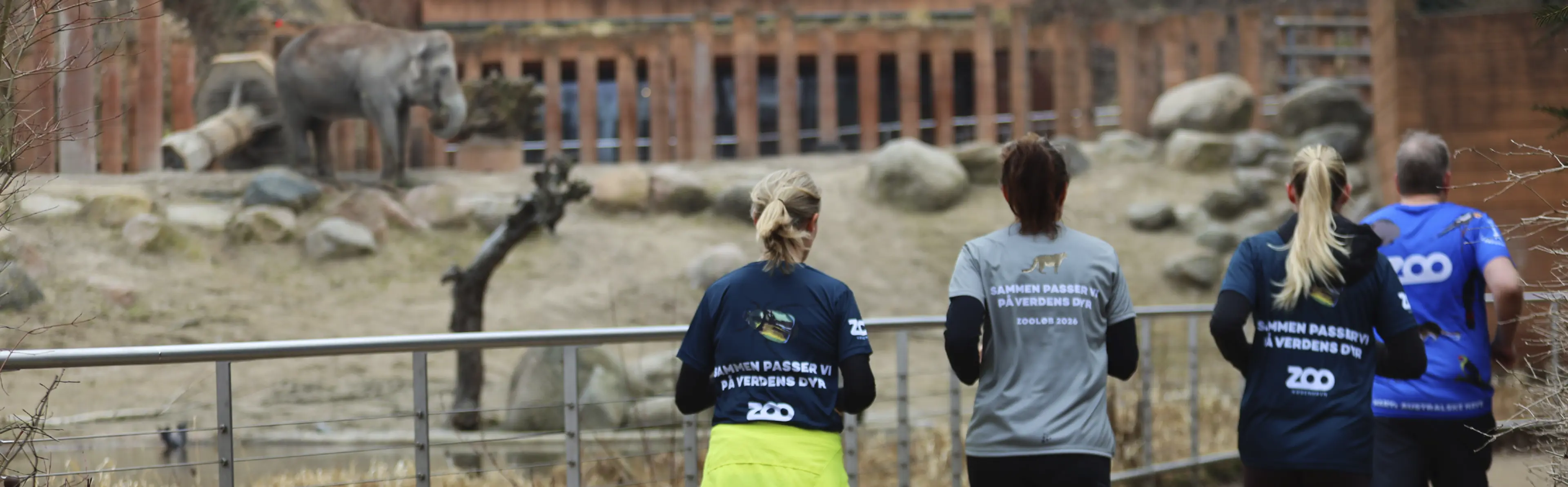 Herobanner til ZOOLØB-landingsside. Deltagere løber på ruten gennem ZOO forbi elefantanlægget på Frederiksberg Have
