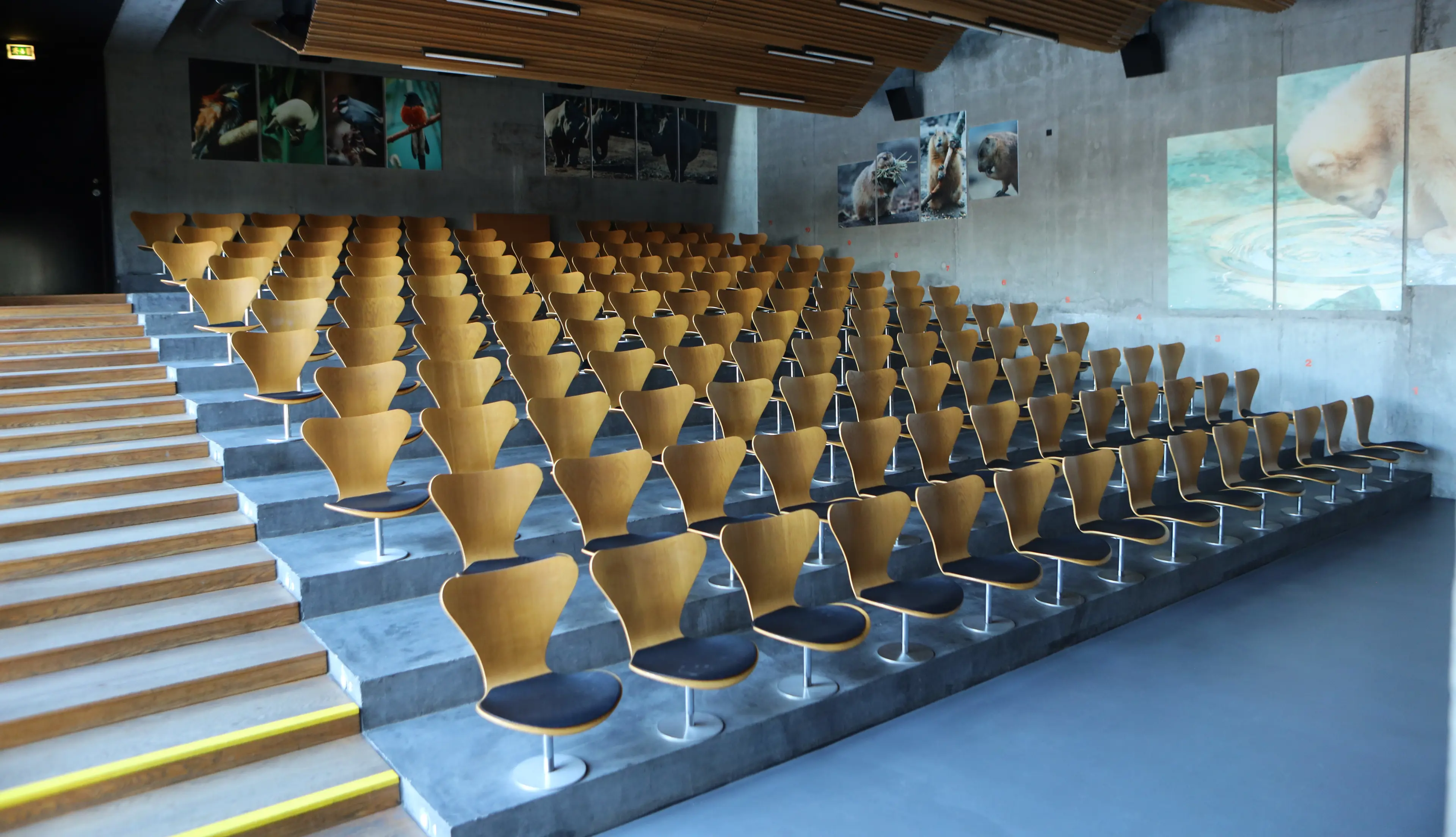 Auditoriet i København Zoo. Kapacitet: 148 gæster