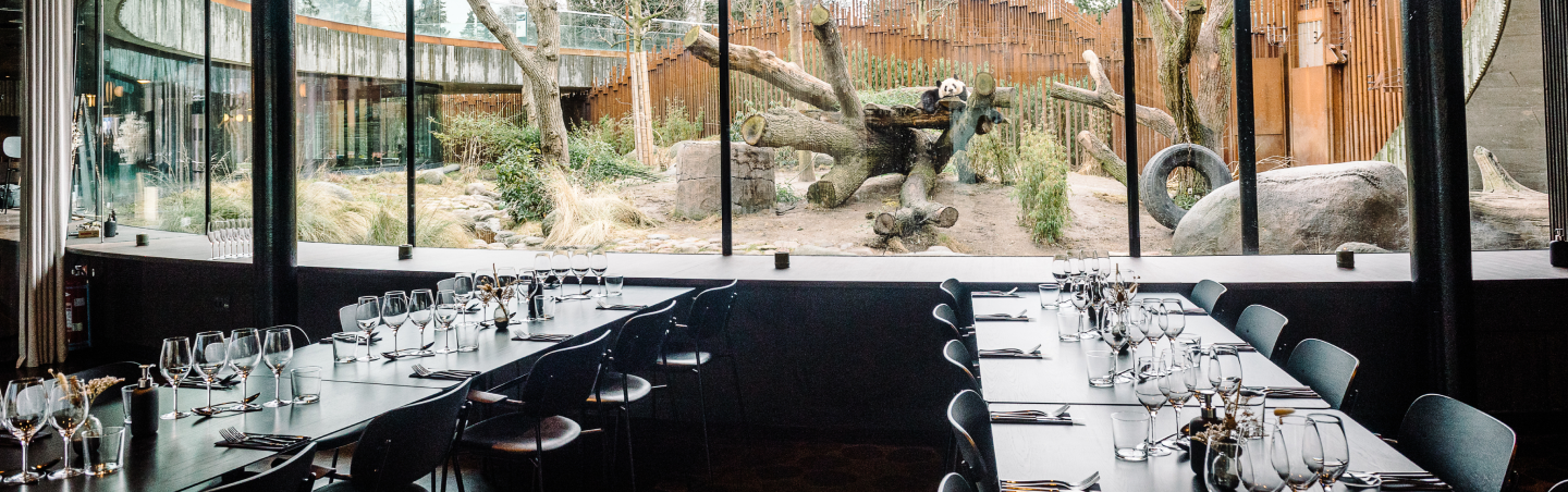 Møder og aktiviteter