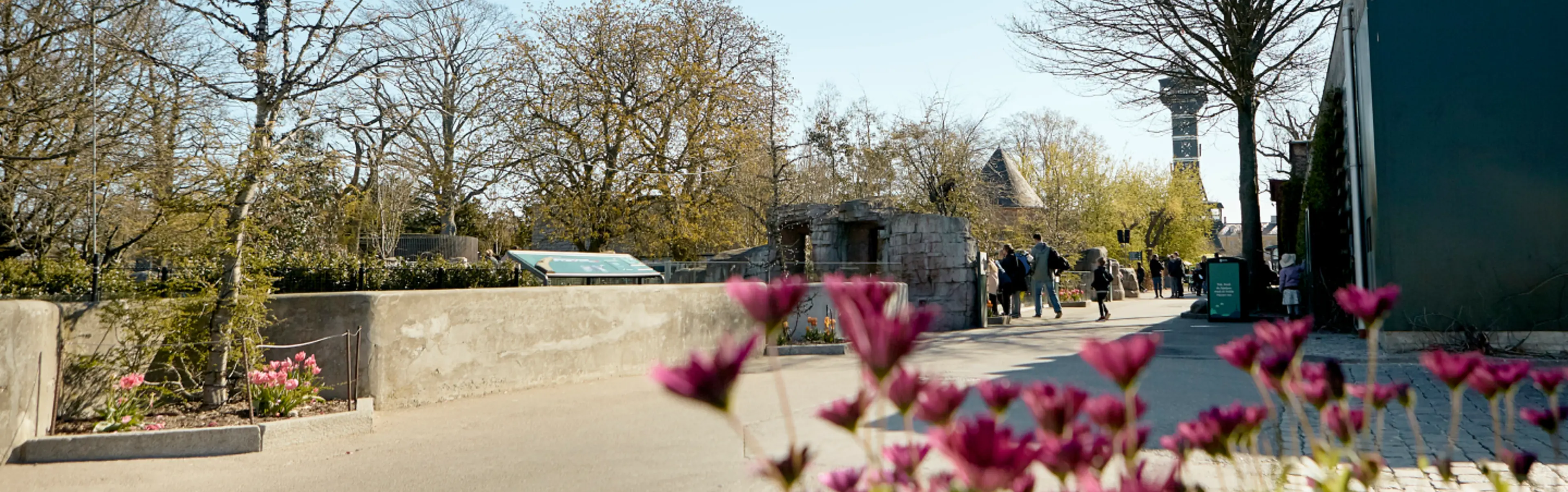 Besök Köpenhamns Zoo