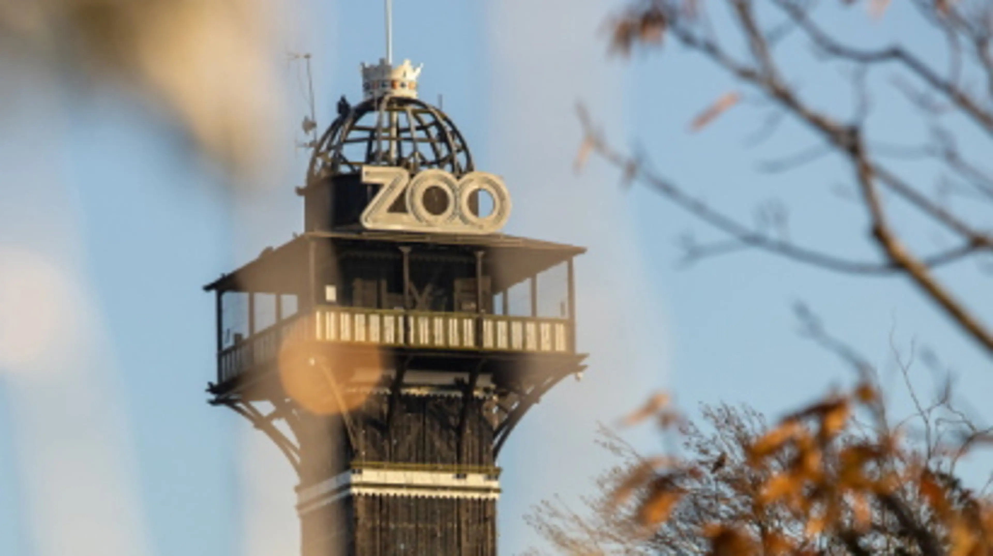 ZOO