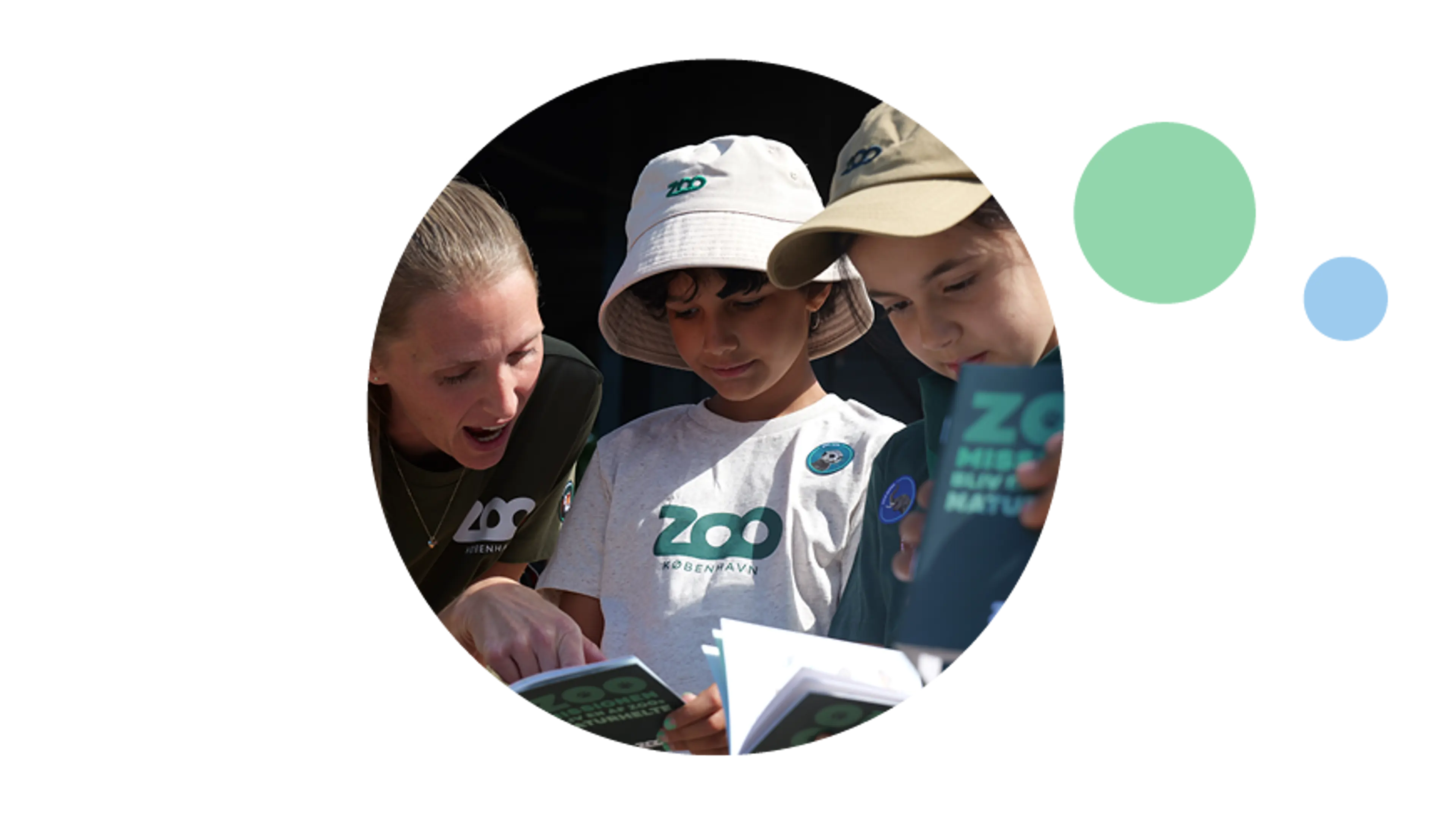 To børn og en Zooguide løser opgaver sammen i ZOO-Missionen om leoparder, tigre og løver på Zoo København