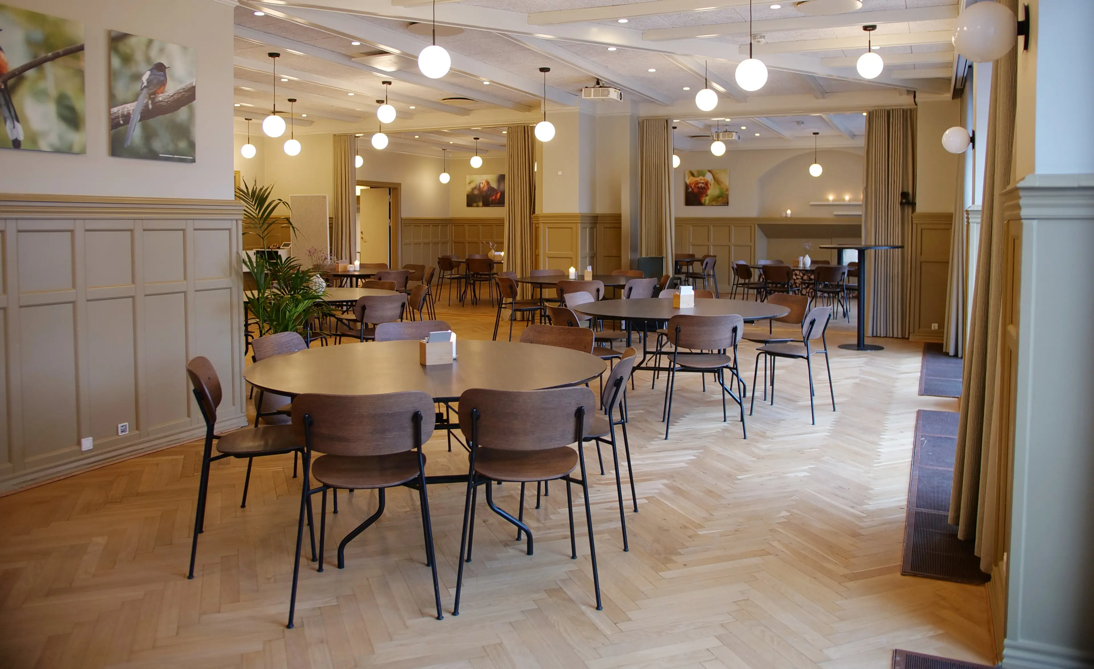 Hold møde i Kjærbøllings Hus i København Zoo. Unik udsigt