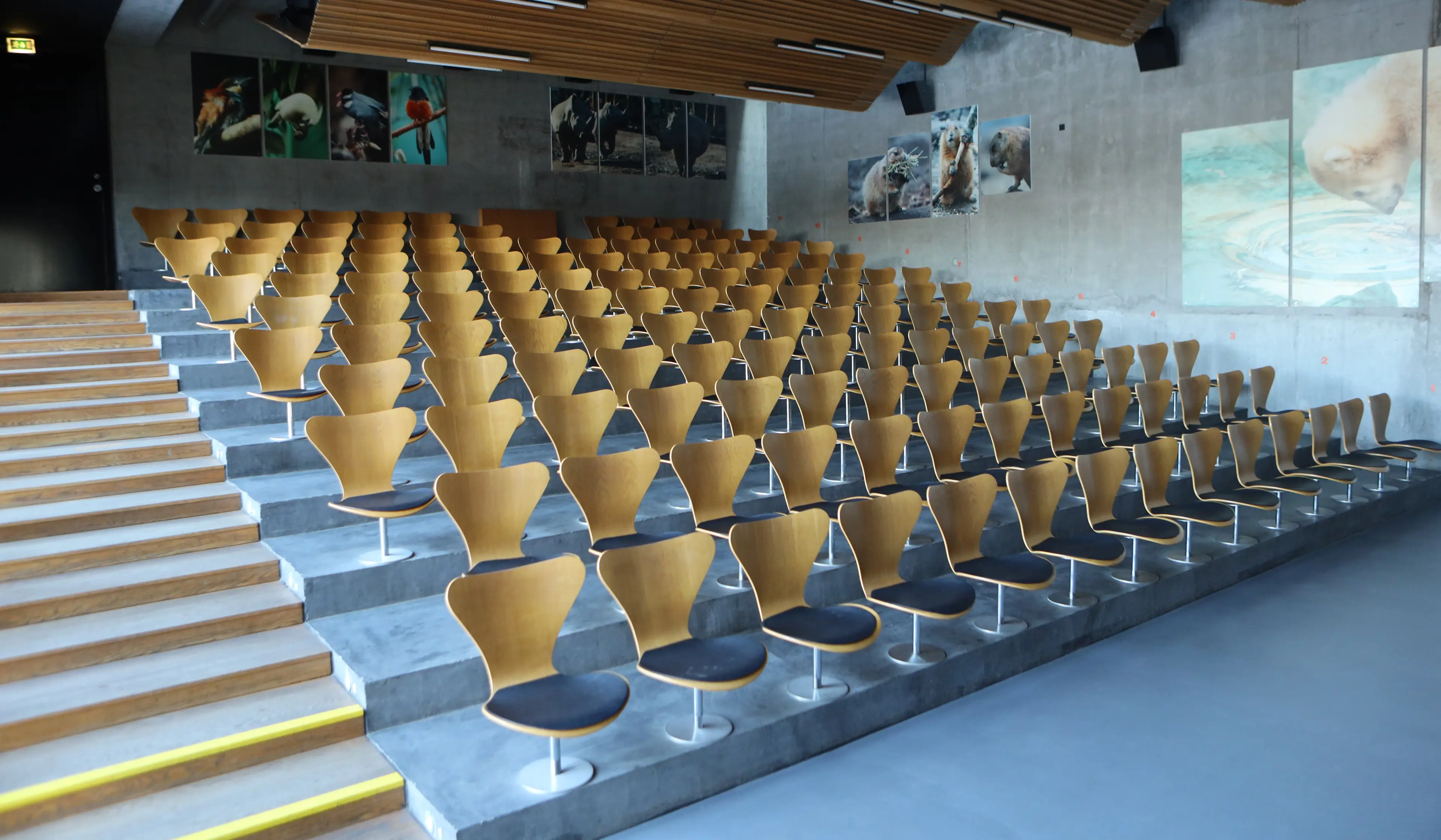 Auditoriet i København Zoo. Kapacitet: 148 gæster