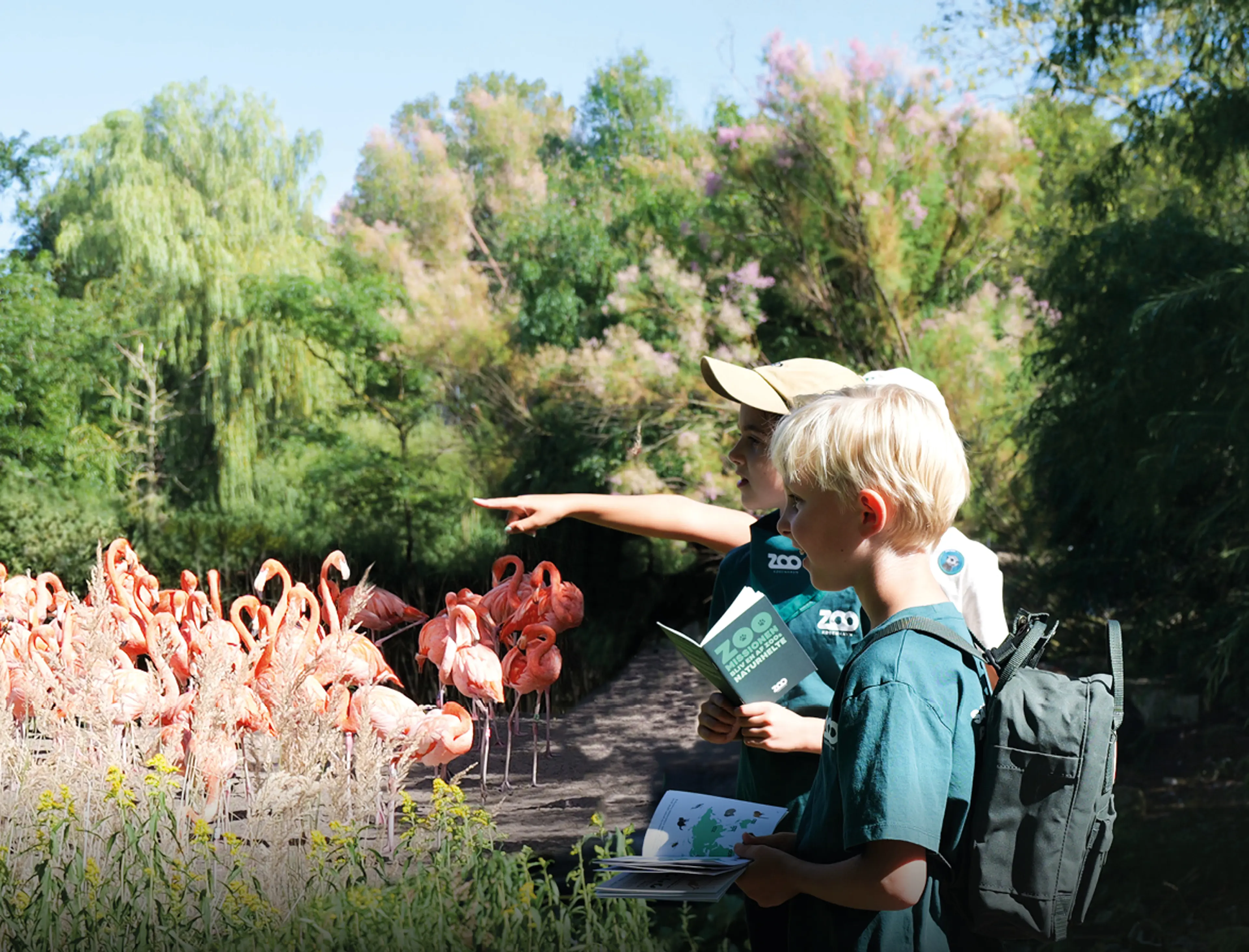 ZOO-Missionen - en gratis aktivitet for alle børn i Zoologisk Have