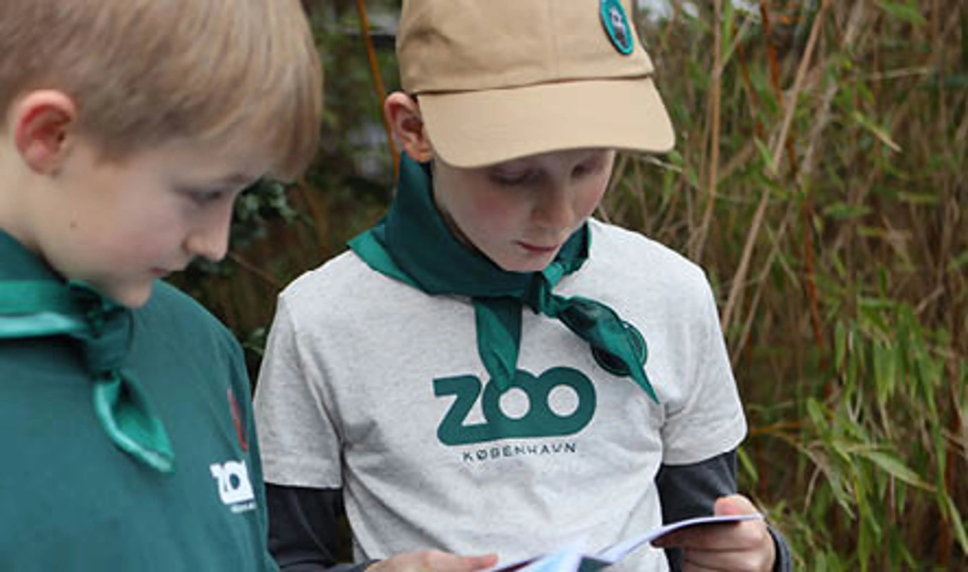 Boys on a Zoo Mission