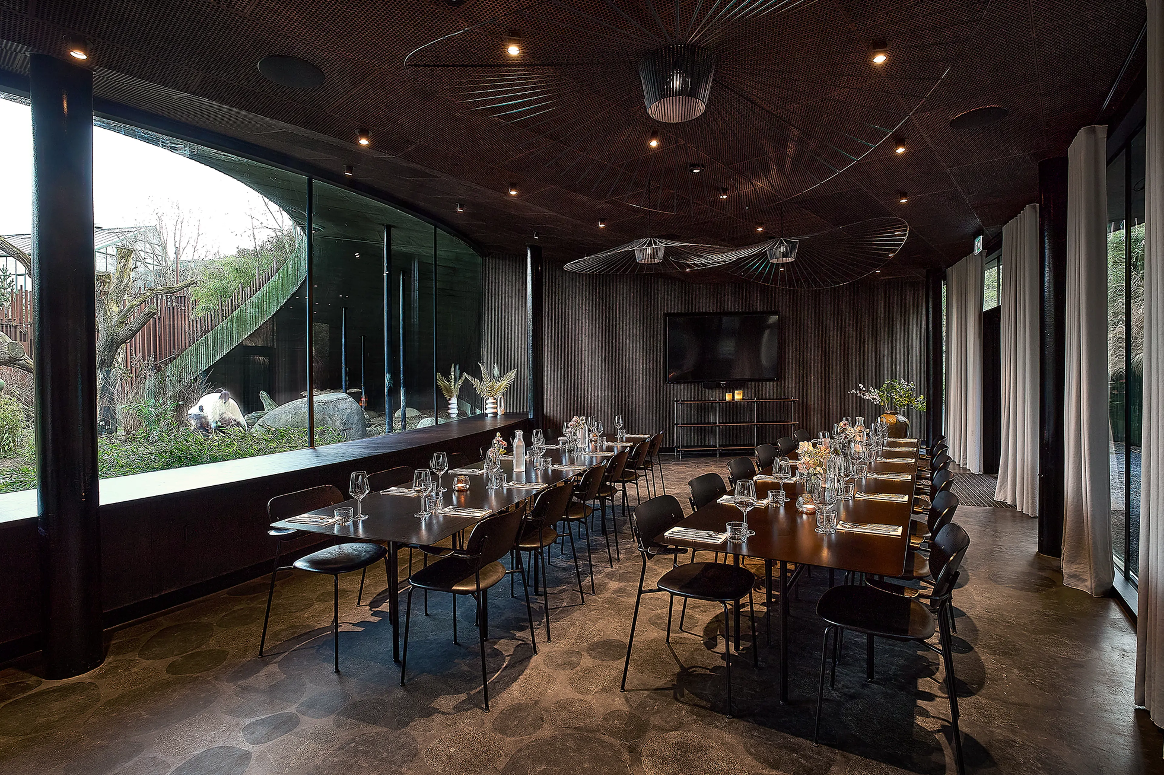 Mødelokale i Bistro Ailu København Zoo. Udsigt til pandaanlægget