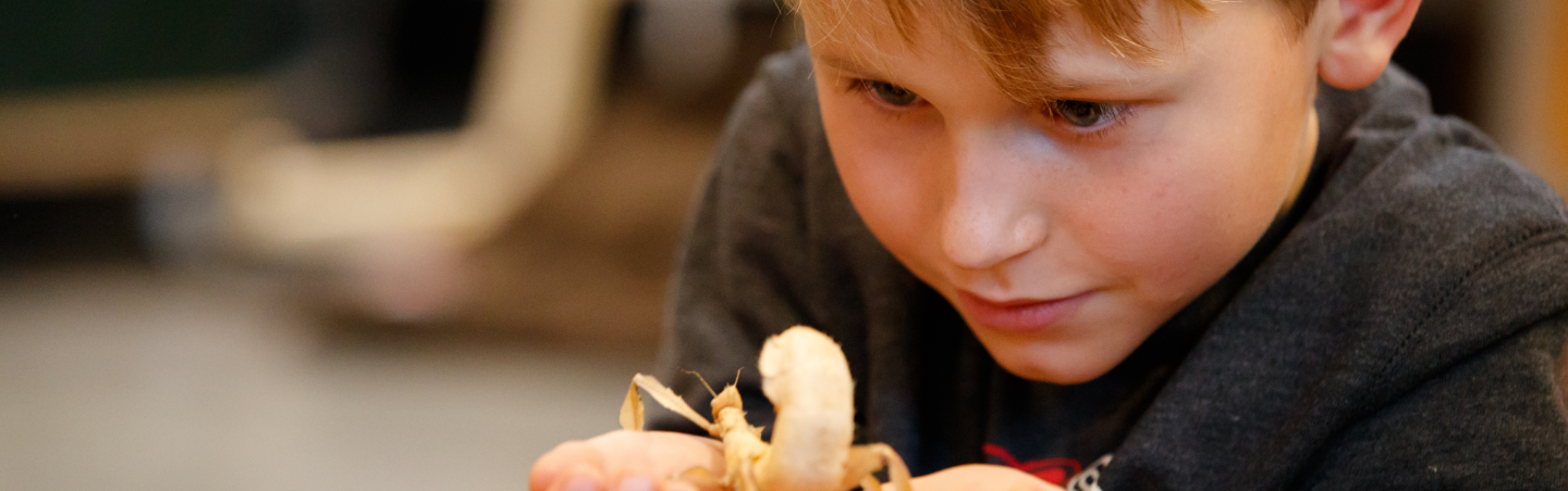 Skole og institutioner