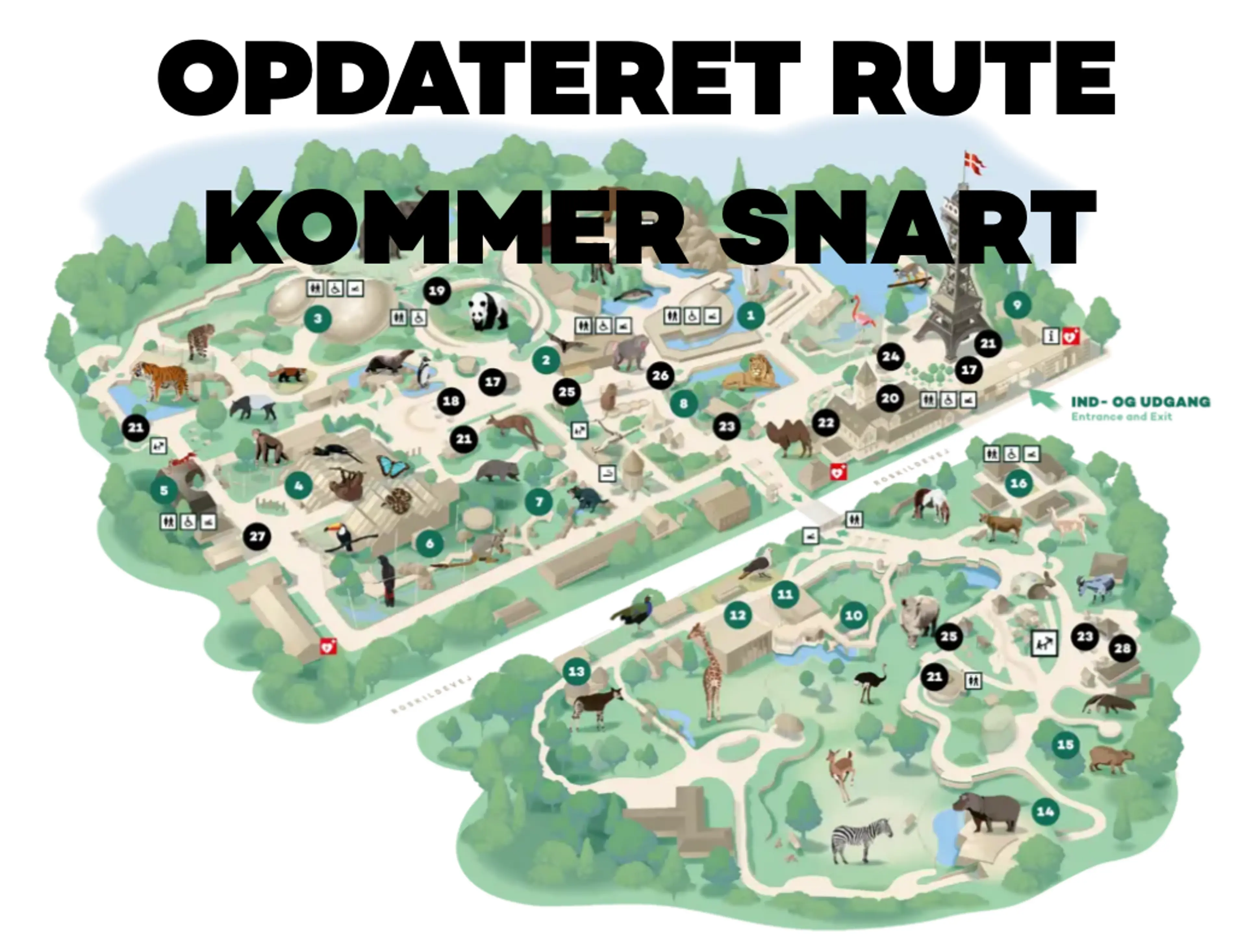 Ruter