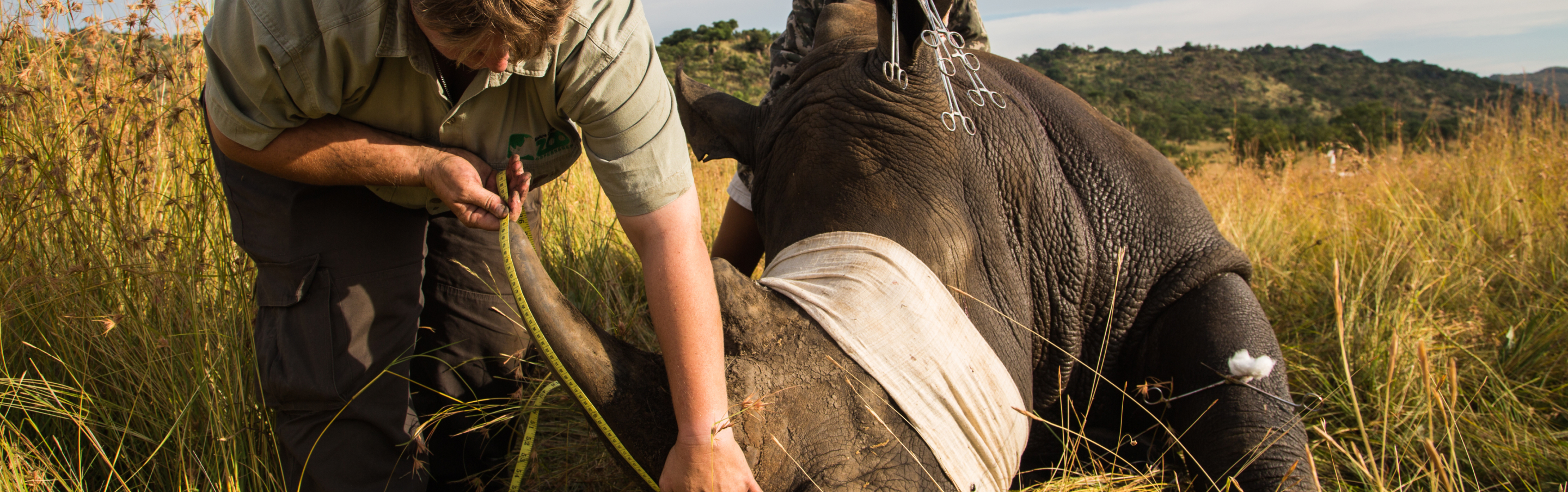 SAMMEN PASSER VI PÅ VERDENS DYR