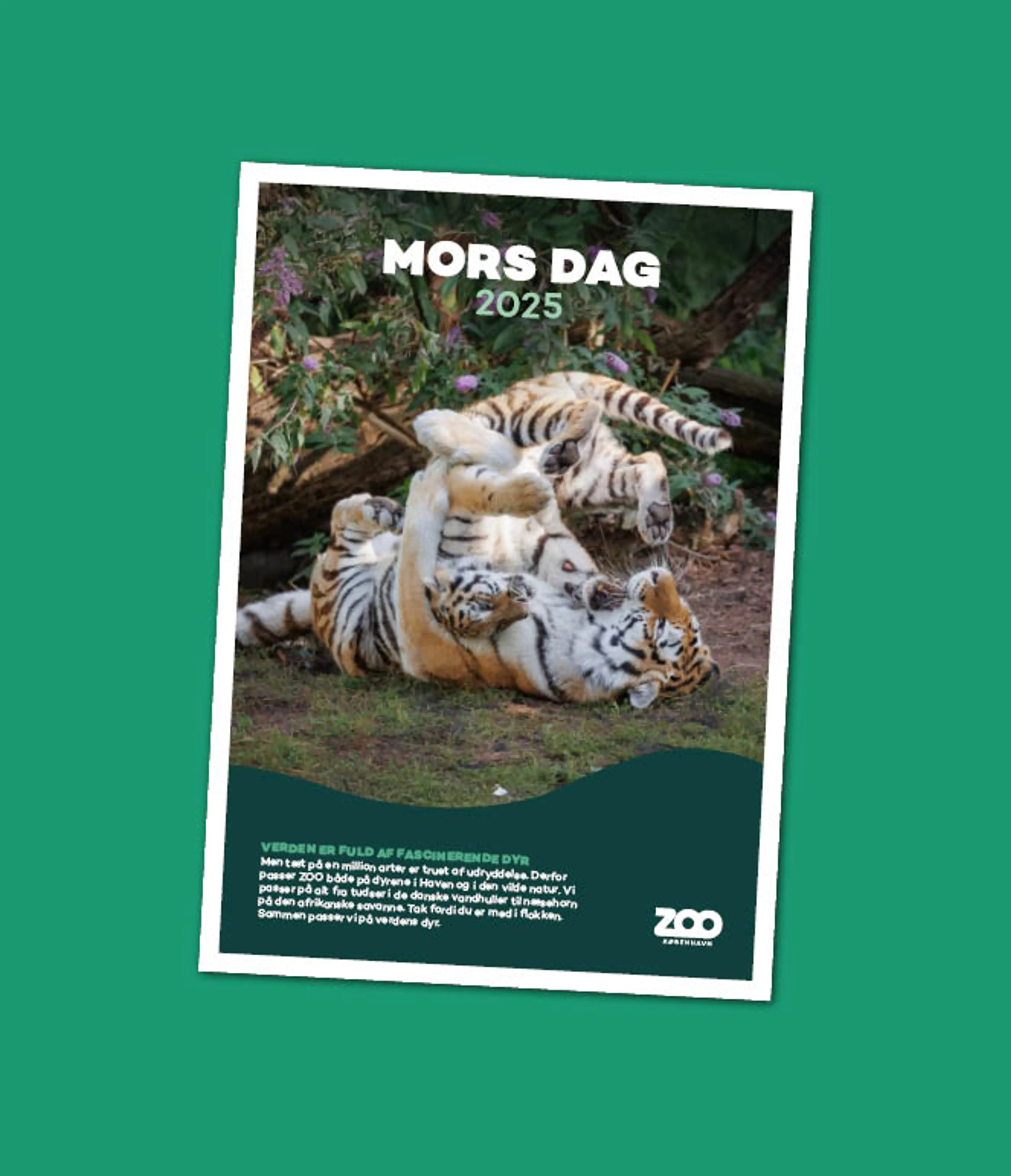 Mors dag