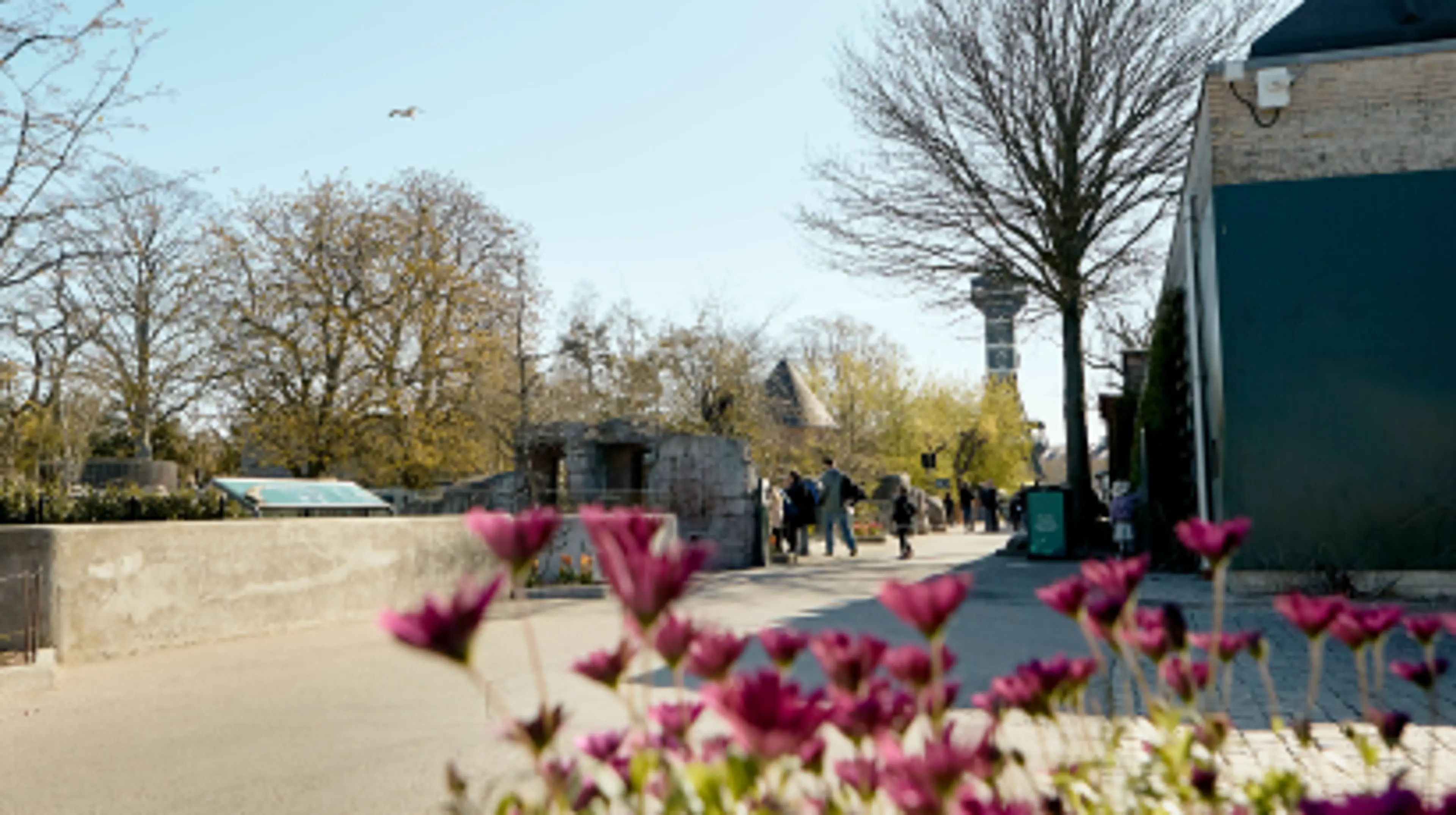 Zoo Kopenhagen