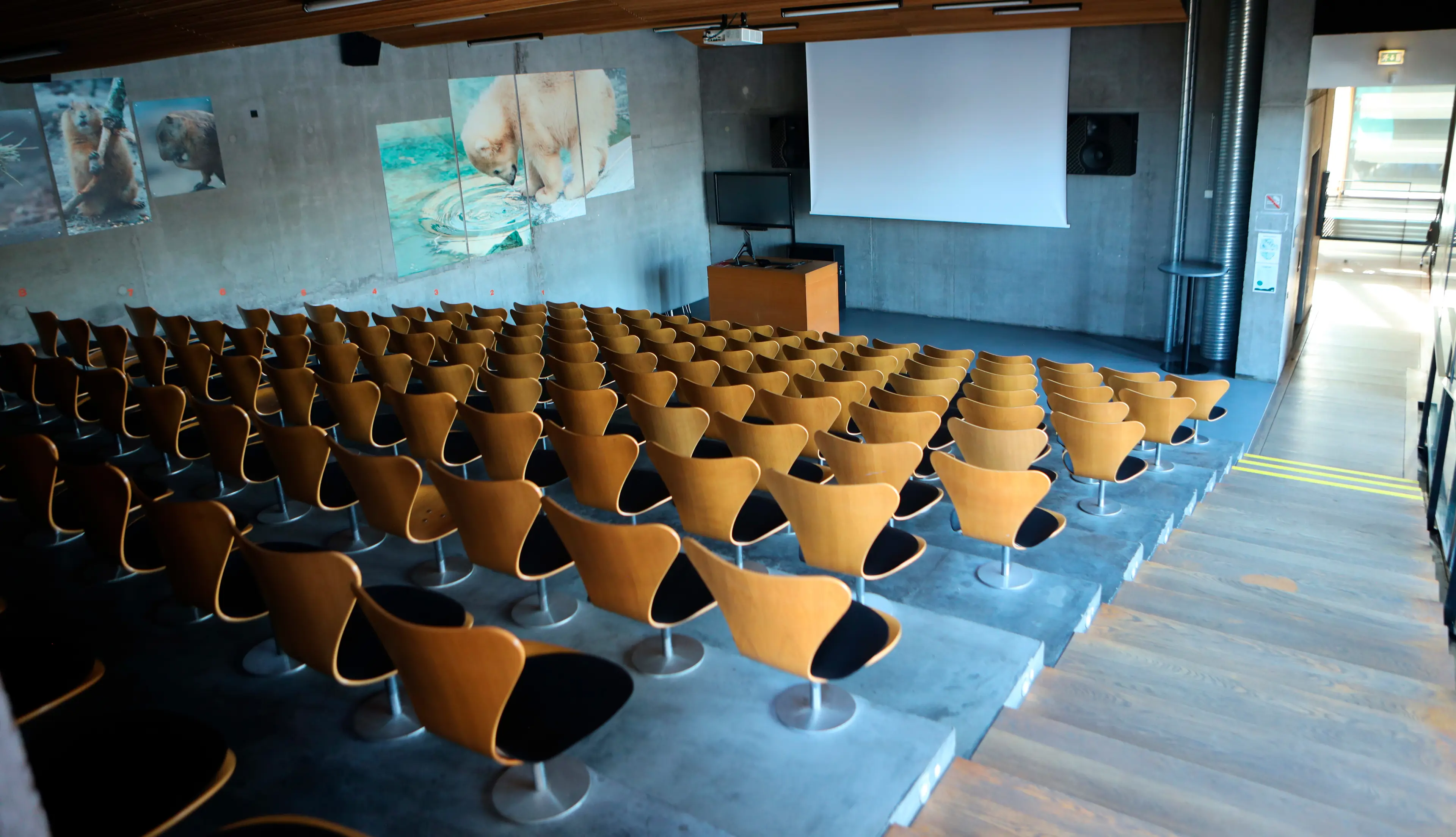 Auditoriet i København Zoo. Kapacitet: 148 gæster