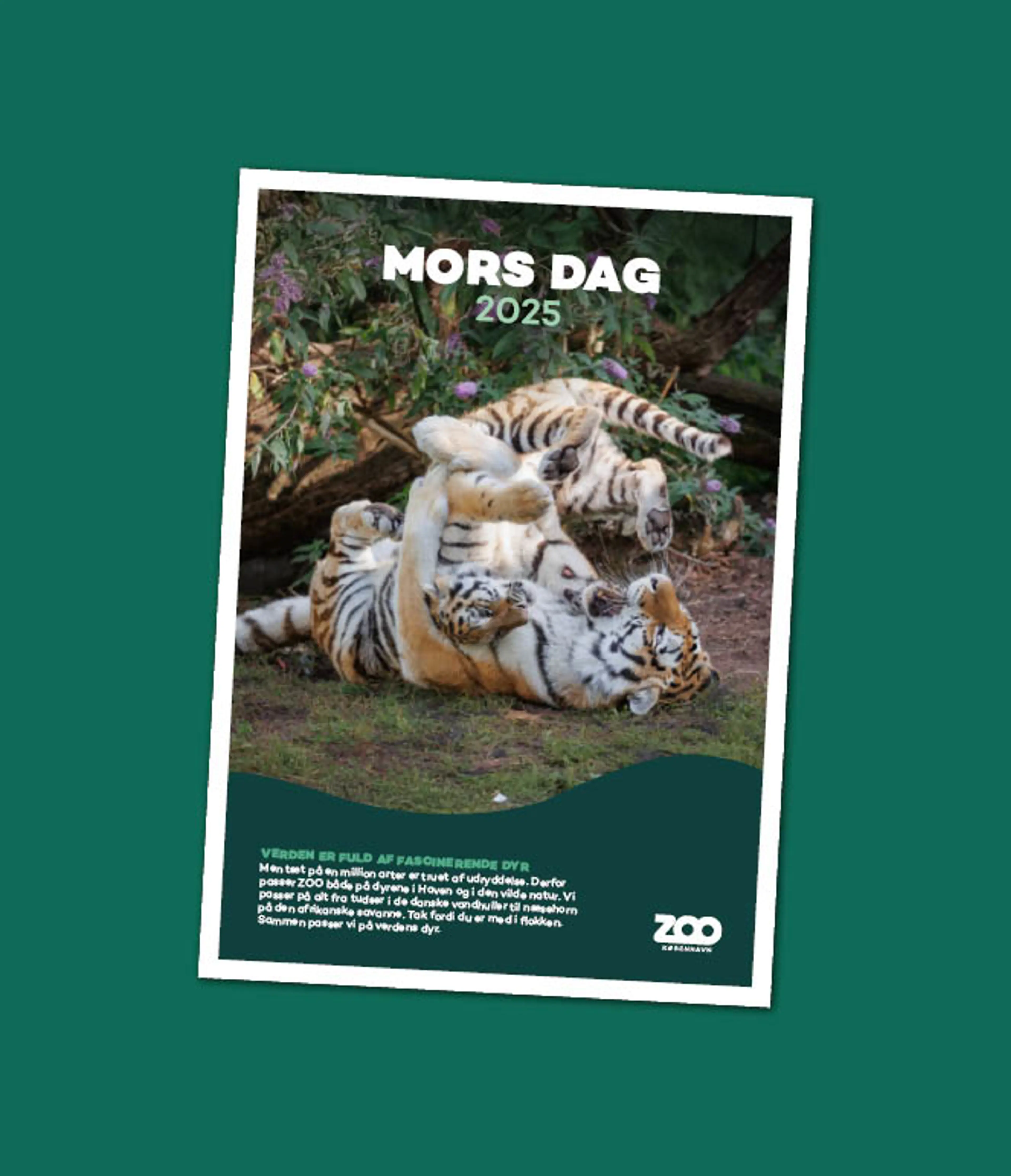 Mors dag bevis
