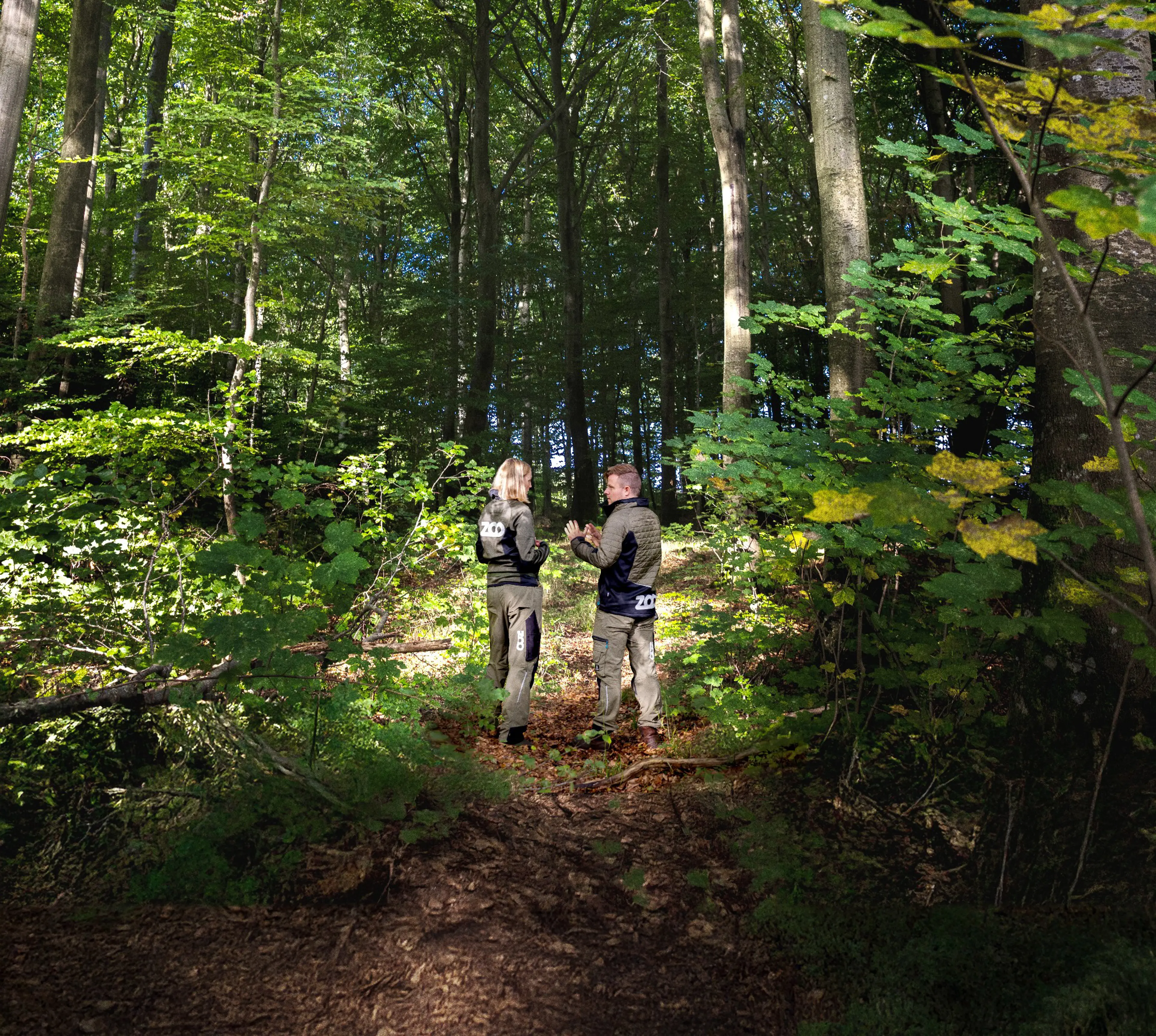 To zoomedarbejdere i en skov